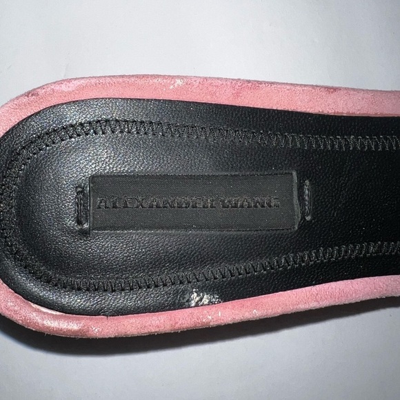 Alexander Wang Lou Pink Suede Slide Sandals - Picture 9 of 10